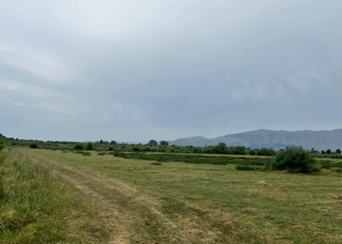 Gate Parking * Omaraj