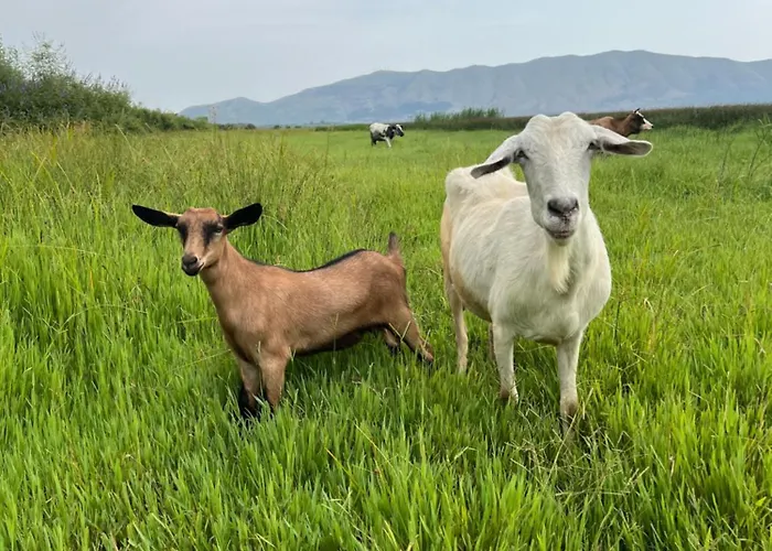 Gate Parking Quarto em Acomodações Particulares Omaraj