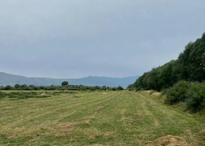 Gate Parking